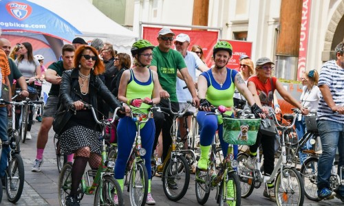 FURAJ Z MOJPONY IN JAZ - 27.5.2023