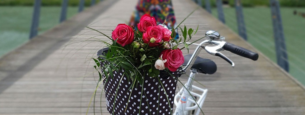 WHEN THE BICYCLE OUTSHINES ITS OWNER