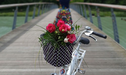 WHEN THE BICYCLE OUTSHINES ITS OWNER